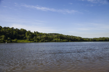 Calm river in the summer day