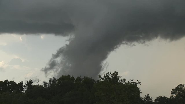 A funnel cloud above a line of wind-tossed trees