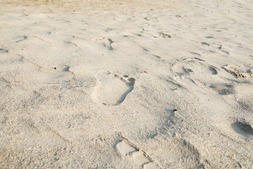 footprints on the beach