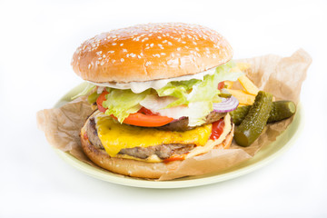 Hamburger with pickles