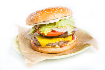 Hamburger on a wrapping paper