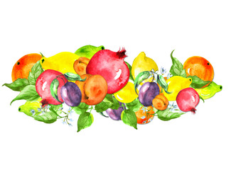 Vintage border, watercolor  pattern, ornament, corporate identity. From fruits of lemon, citrus, pomegranate, peach, apricot, plum, orange, lime Use for greeting cards, invitations, labels, tags