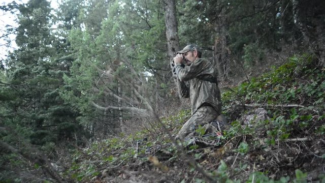 Bow hunter in the woods