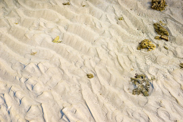 the beach texture