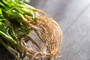 Fresh Green Parsley Roots on Dark Brown Wooden Background, Close-up