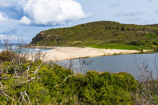 Glenrock Park with Laguna in Newcastle, NSW Australia