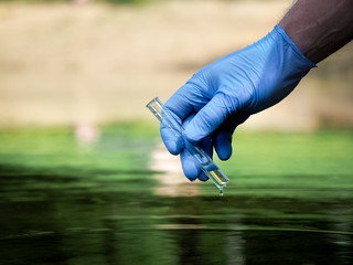 Water sample. Hand in glove collects water in a test tube. Concept - water purity analysis, environment, ecology. Water testing for infections, permission to swim 
