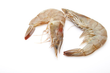 Fresh shrimp
