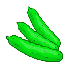 Cucumber isolated illustration