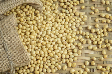 Soy bean