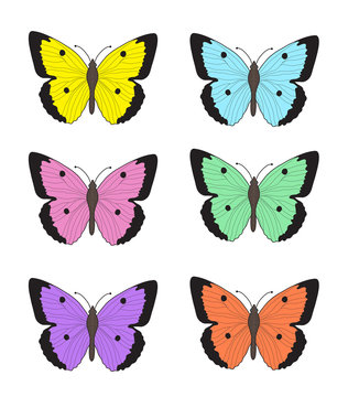 Set of multicolored butterflies on a white background, a collection of butterflies. Vector illustration
