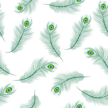 Peacock feather seamless texture, peacock feathers background. Feathers of a peacock wallpaper. Vector illustration.