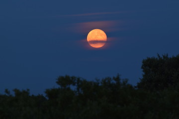 Abend-Nacht-Morgenstimmung an der Nordseeküste, Mond- und Sonnenlicht im Watt