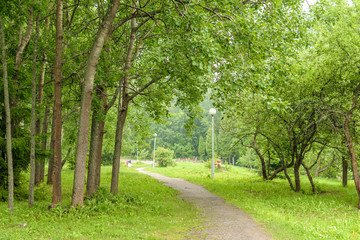 .Park in the Leningrad region of Russia