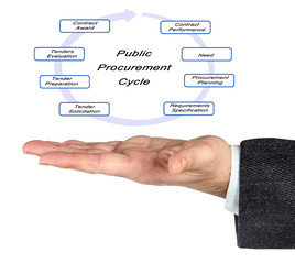 Public Procurement Cycle