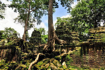 Ta Prohm Temple in Angkor, Siem Reap, Cambodia