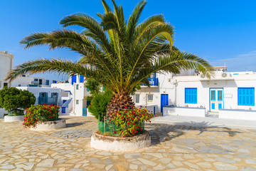Fototapeta na wymiar Typical white houses on square with palm tree in Mykonos town on island of Mykonos, Cyclades, Greece