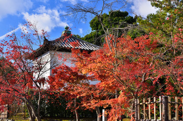 Red leaves and shrine, Arashiyama Kyoto Japan autumn.