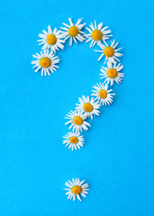 question mark from a camomile flower, on the blue background