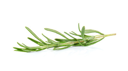 Fototapeta premium Rosemary on white background.