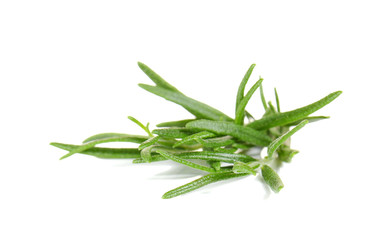 Rosemary on white background.