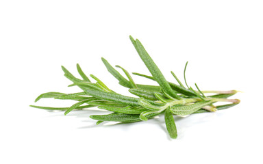 Rosemary on white background.