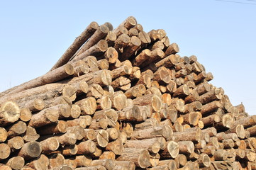 Wood stack together