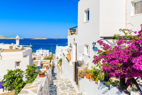 Fototapeta A view of whitewashed street with flowers in beautiful Mykonos town, Cyclades islands, Greece