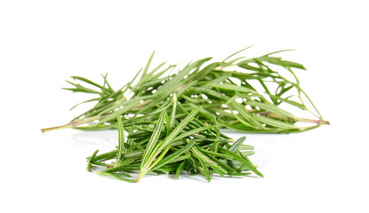 Rosemary on white background.