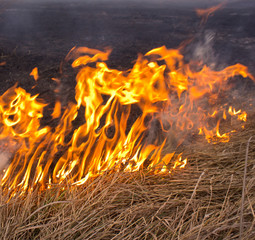 fire