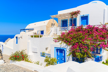 Typical houses decorated with flowers in Oia town on island of Santorini, Cyclades, Greece © pkazmierczak