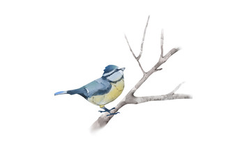 Creative Illustration and Innovative Art: Bird on Branch, Water Color Style. Realistic Fantastic Cartoon Style Artwork Scene, Wallpaper, Story Background, Card Design
