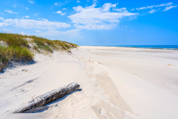 Dry tree trunk on sand dune and beach view in Lubiatowo coastal village, Baltic Sea, Poland