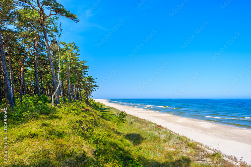 Wall mural a view of beautiful sandy beach in lubiatowo coastal village, baltic sea, poland