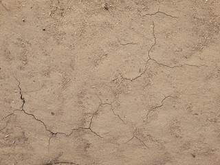 cracks in the ground