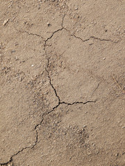 Fototapeta premium cracks in the ground