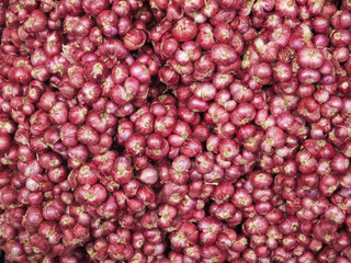 Red onion