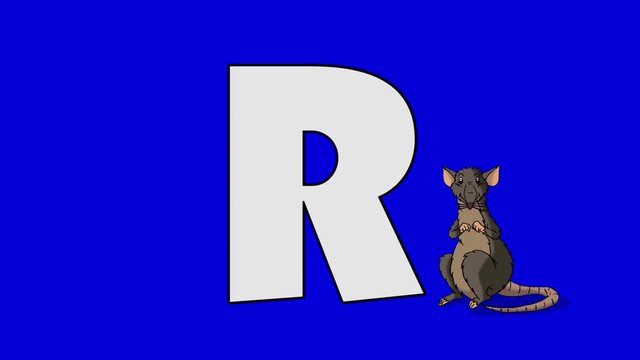 Letter R and Rat (foreground)	Animated animal alphabet. Motion graphic with chroma key. Animal in a foreground of a letter.