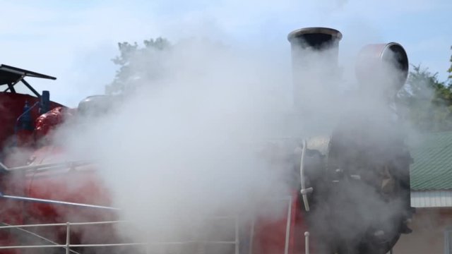 Restored steam locomotive steaming. Much of steam in frame.