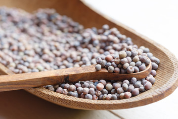 Roveja, Pisum Arvense, high protein legume from Umbria