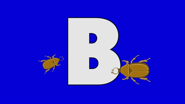 Letter B and Bear (foreground)	Animated animal alphabet. Motion graphic with chroma key. Animal in a foreground of a letter.