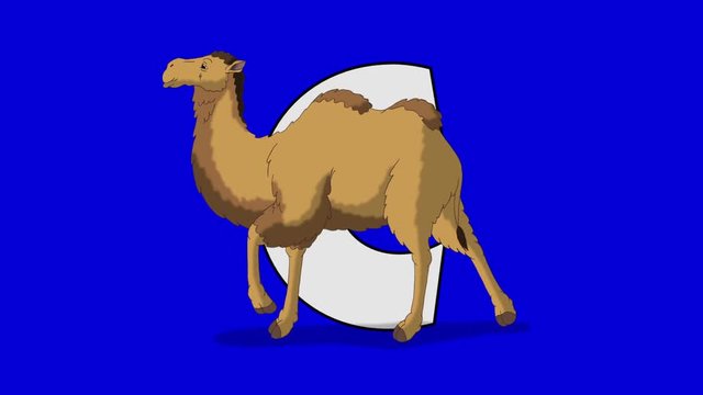 Letter C and Camel (foreground)	Animated animal alphabet. Motion graphic with chroma key. Animal in a foreground of a letter.