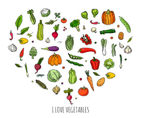 Hand drawn doodle vegetables icons set Vector illustration seasonal vegetable symbols collection Cartoon different kinds of vegetables Various types of vegetables on white background Sketchy style