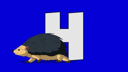 Letter H and Hedgehog (foreground)	Animated animal alphabet. Motion graphic with chroma key. Animal in a foreground of a letter.