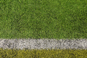 green grass for sport background
