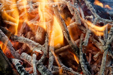 hot coals from the burnt wood  
