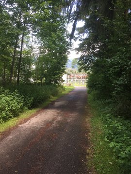 Waldstrasse 