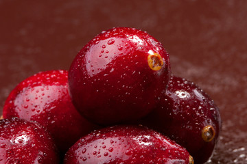 Wet fresh wild cranberries. Studio shoot.
