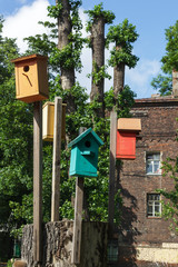 Birdhouses on a stick