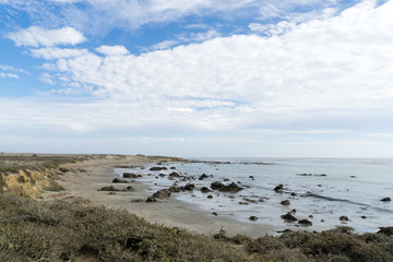 Elephant Seal Vista Point